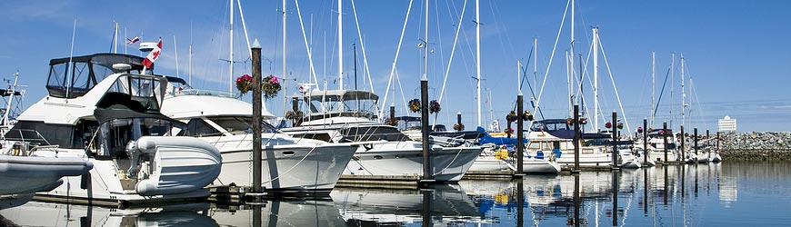 Independent Insurance Agent for TX